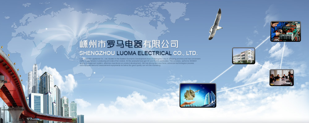 罗马电器