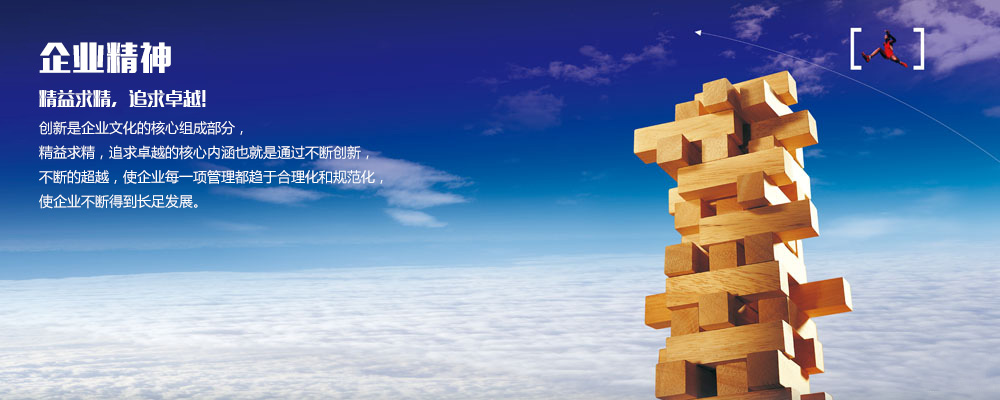 罗马电器