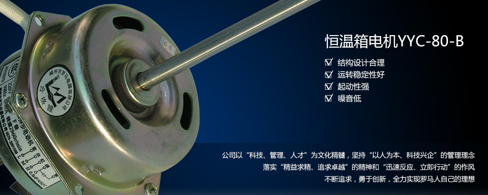 罗马电器